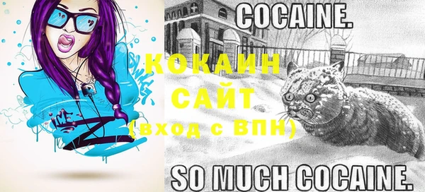 гашик Новодвинск