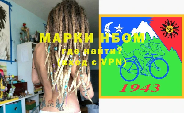 гашик Новодвинск