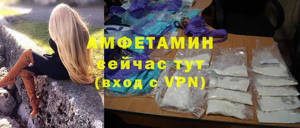 гашик Новодвинск