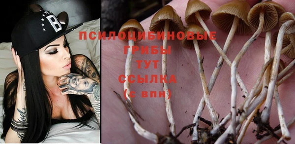 винт Новозыбков