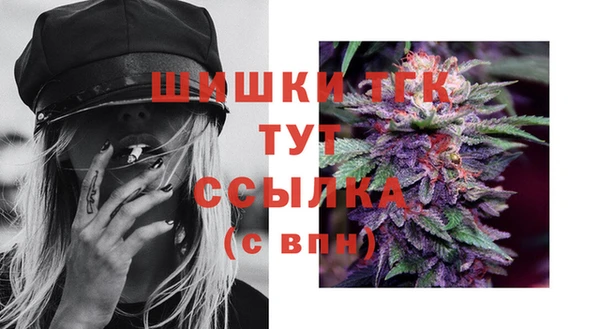 гашик Новодвинск