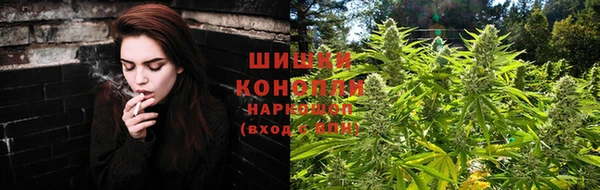 каннабис Новокубанск