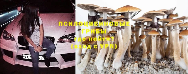 гашик Новодвинск