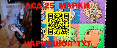 ALPHA PVP Камышлов