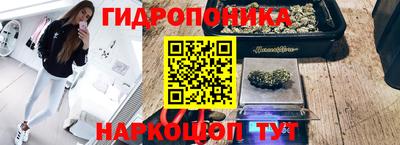 наркотики Кандалакша