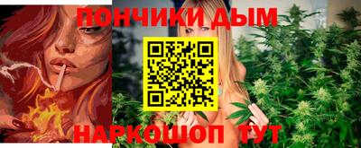 ALPHA PVP Камышлов