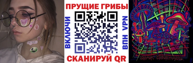 Купить  Новочебоксарск  Галлюциногенные грибы MAGIC MUSHROOMS 