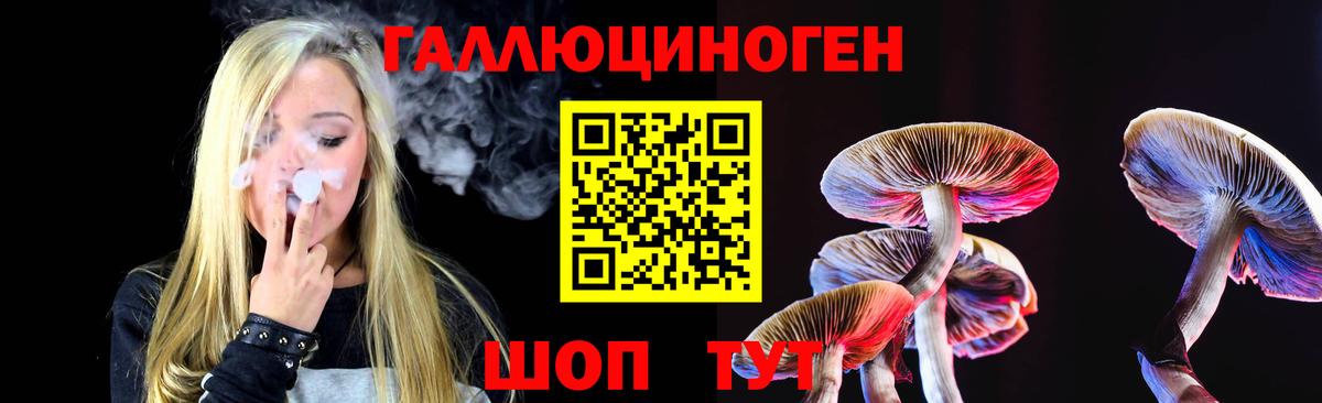 Псилоцибиновые грибы MAGIC MUSHROOMS Новочебоксарск